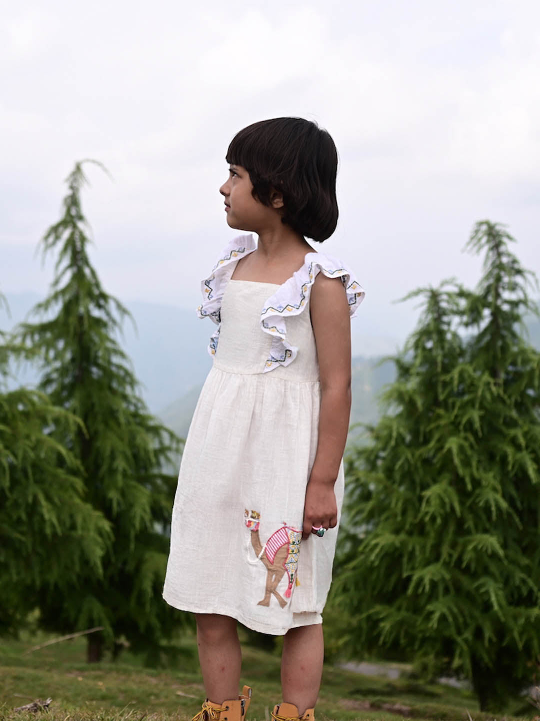 Oont Embridered Cotton A-Line Dress
