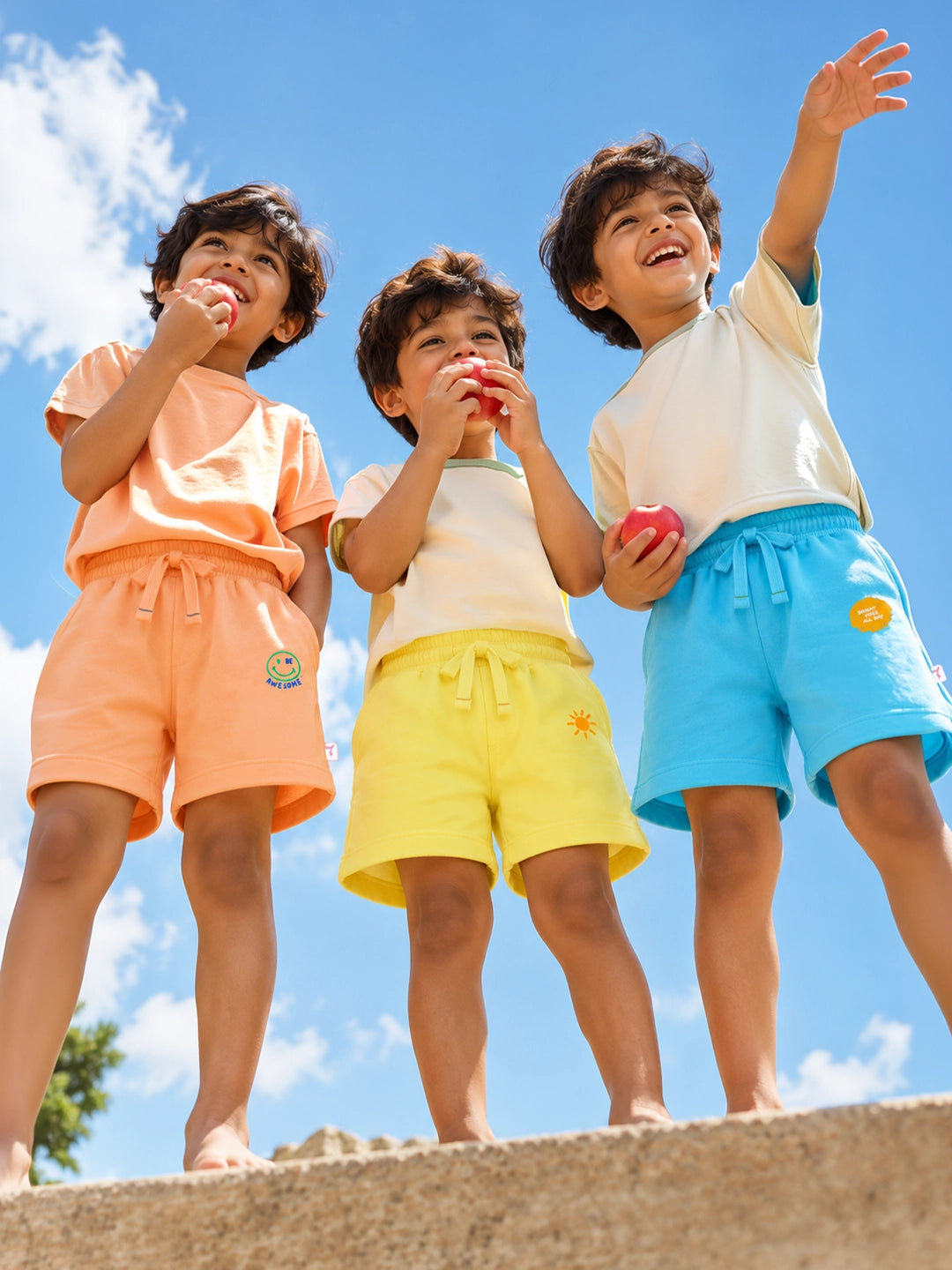 Pack of 3 Boy's Shorts