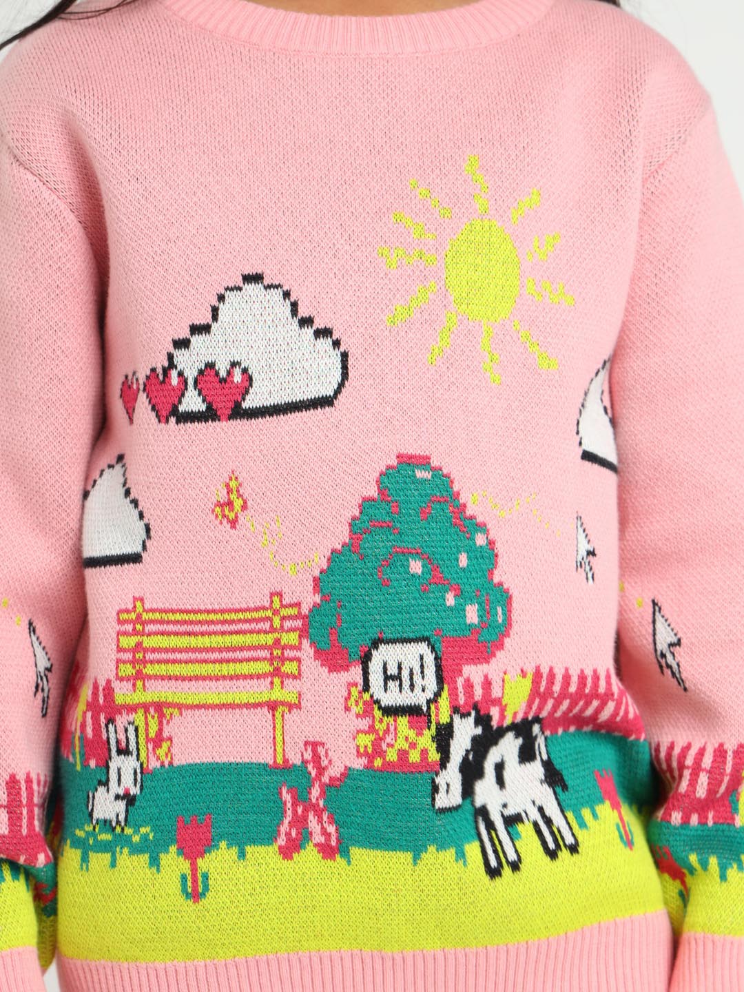 Farmland Printed Cotton Pullover Sweater