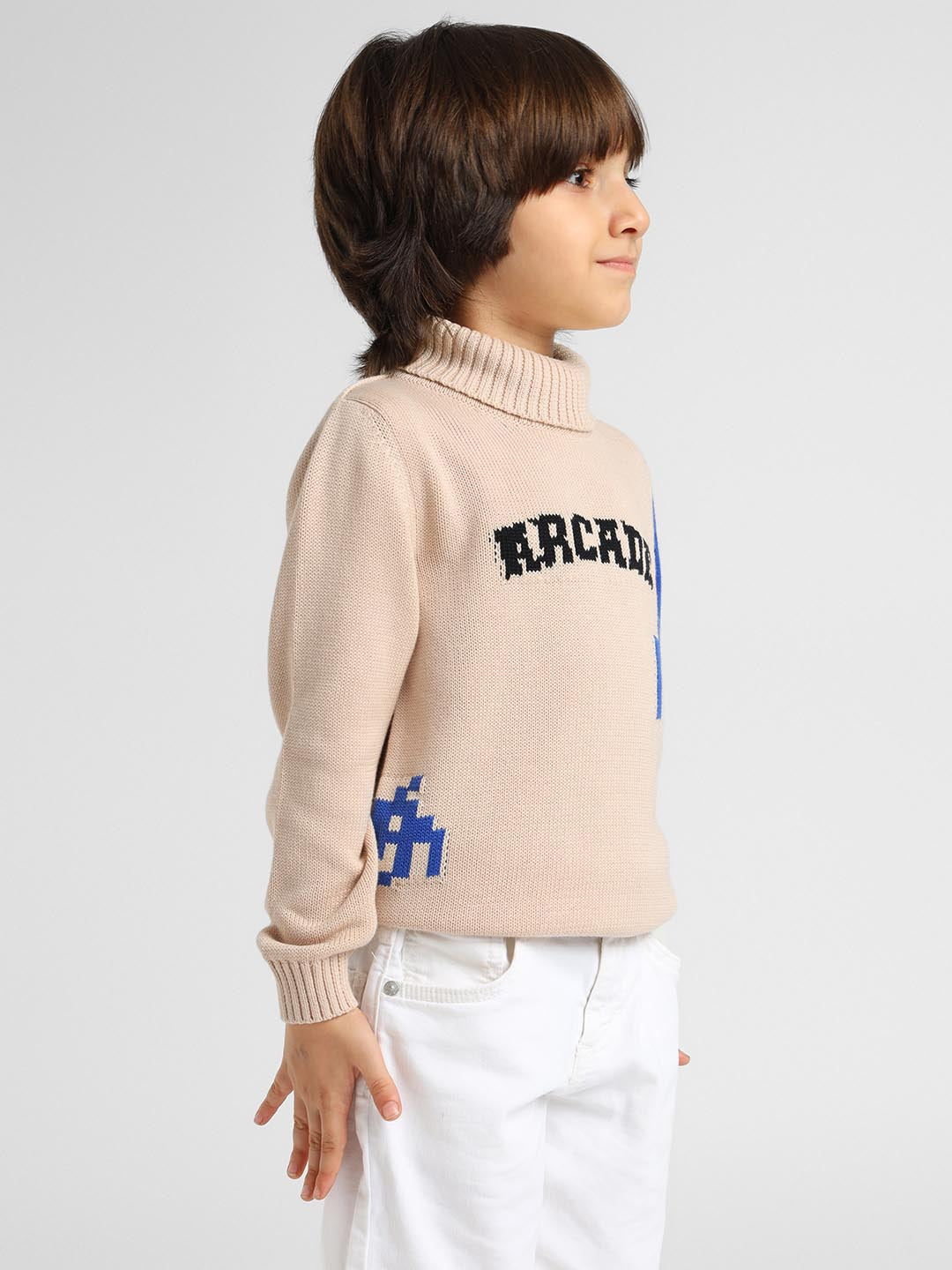 Arcade Turtle Neck Cotton Pullover Sweater