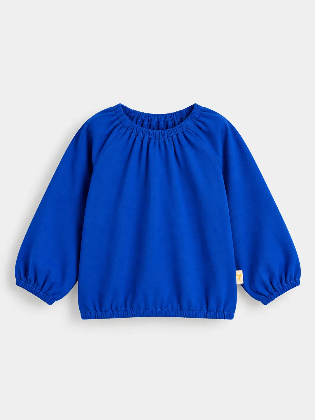 Balloon Full Sleeves Top