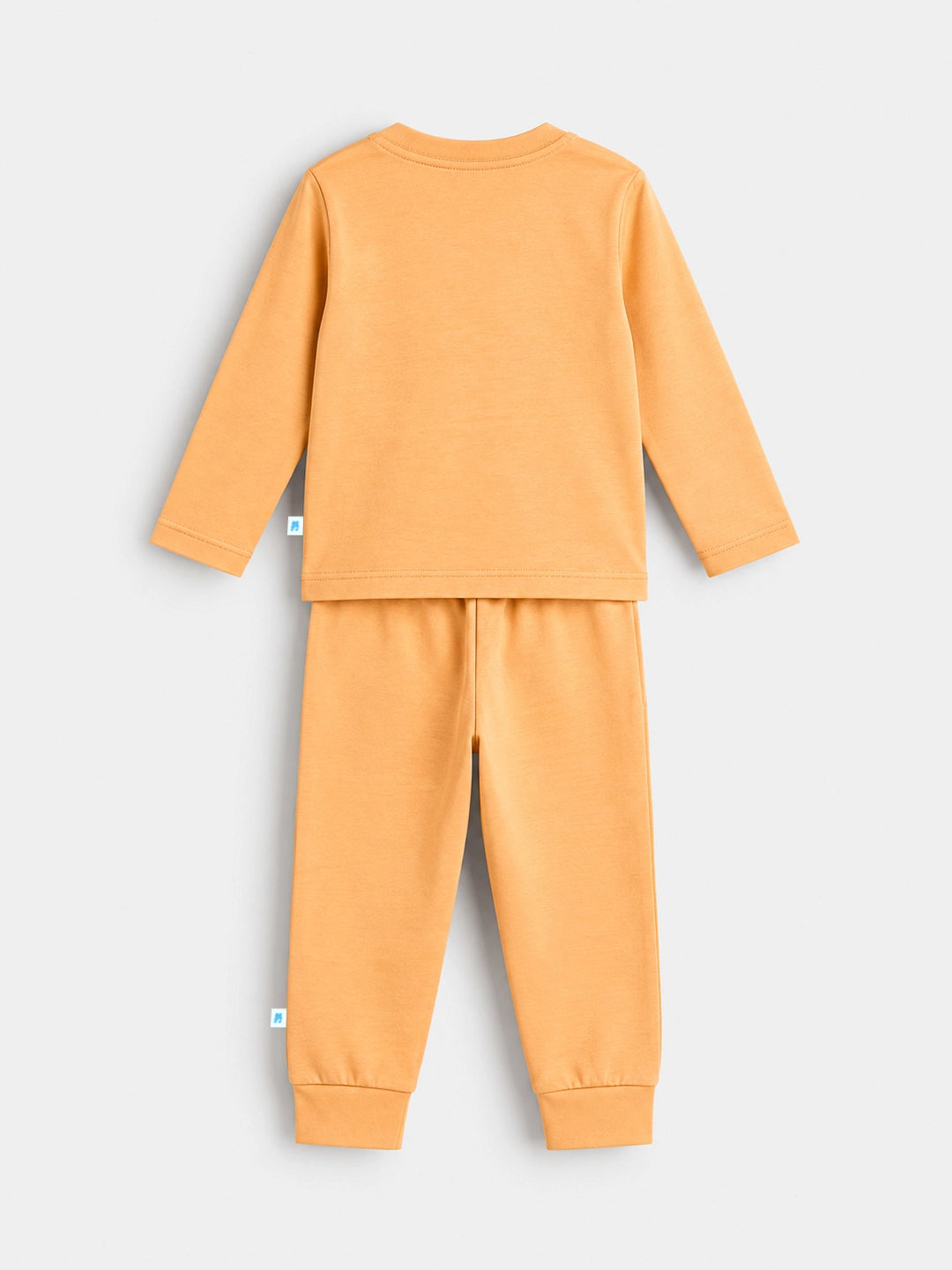 Tangy Orange T-Shirt & Shorts Set
