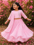 Lurex Embroidered Lehenga Set