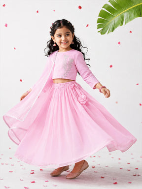 Lurex Embroidered Shantoon Lehenga Set