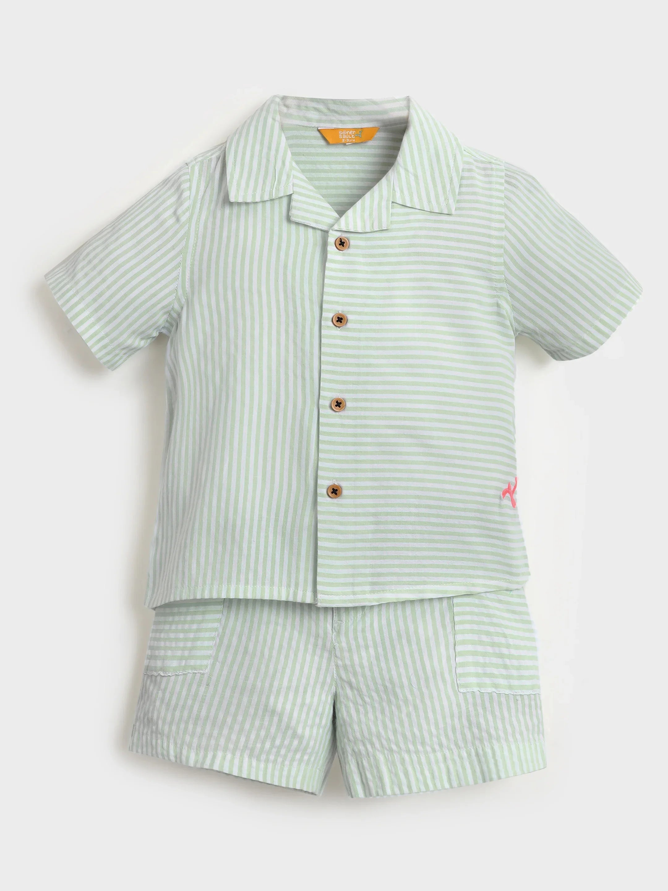 Mint Striped Shirt & Shorts Set