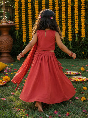 Embroidered Lehenga Set