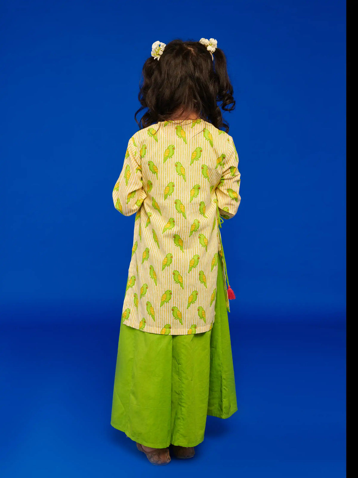 Mitthu Kurta Dress Somersault