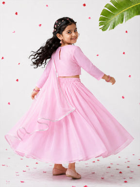 Lurex Embroidered Shantoon Lehenga Set