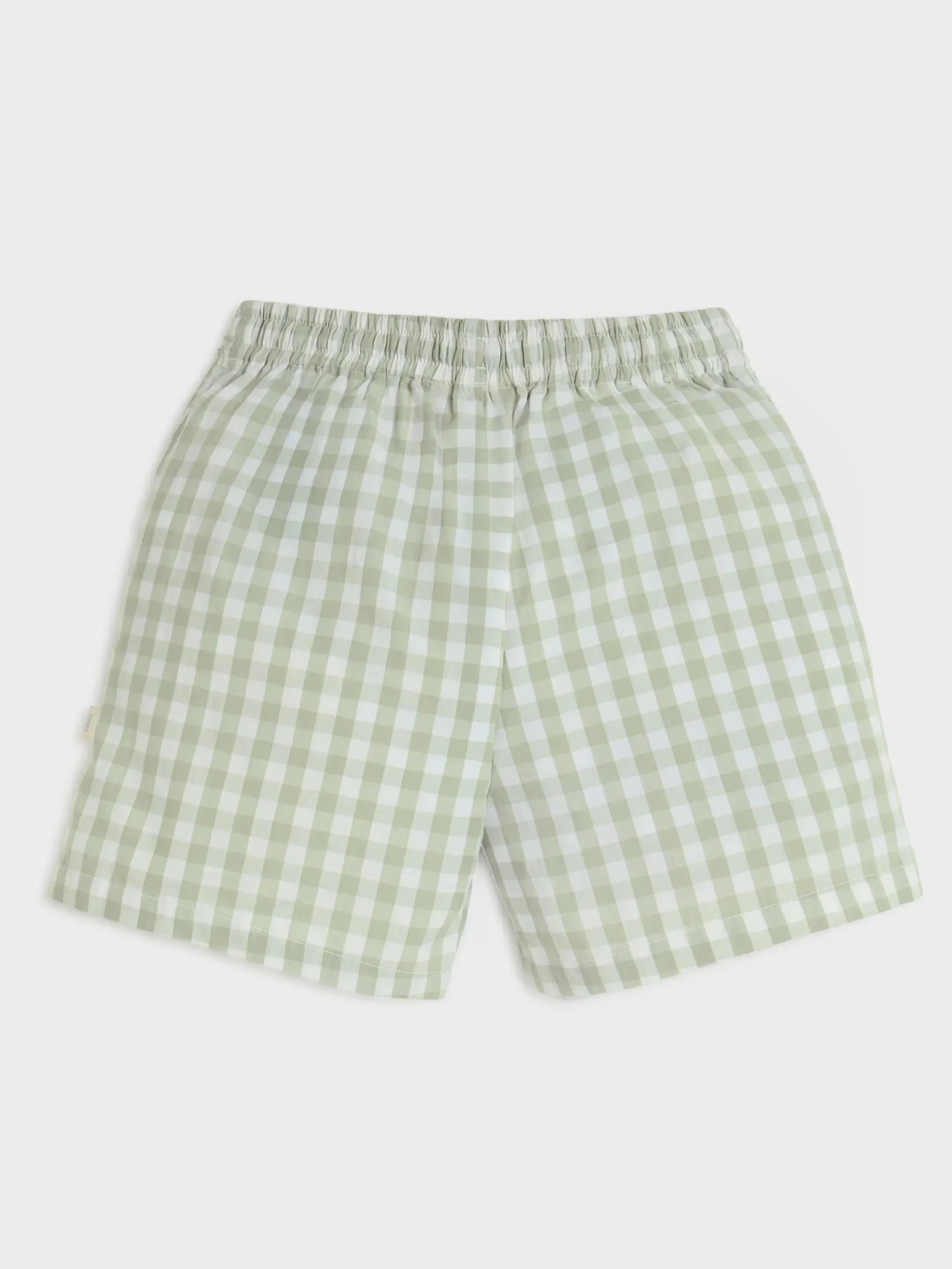 Checkered Green Shorts