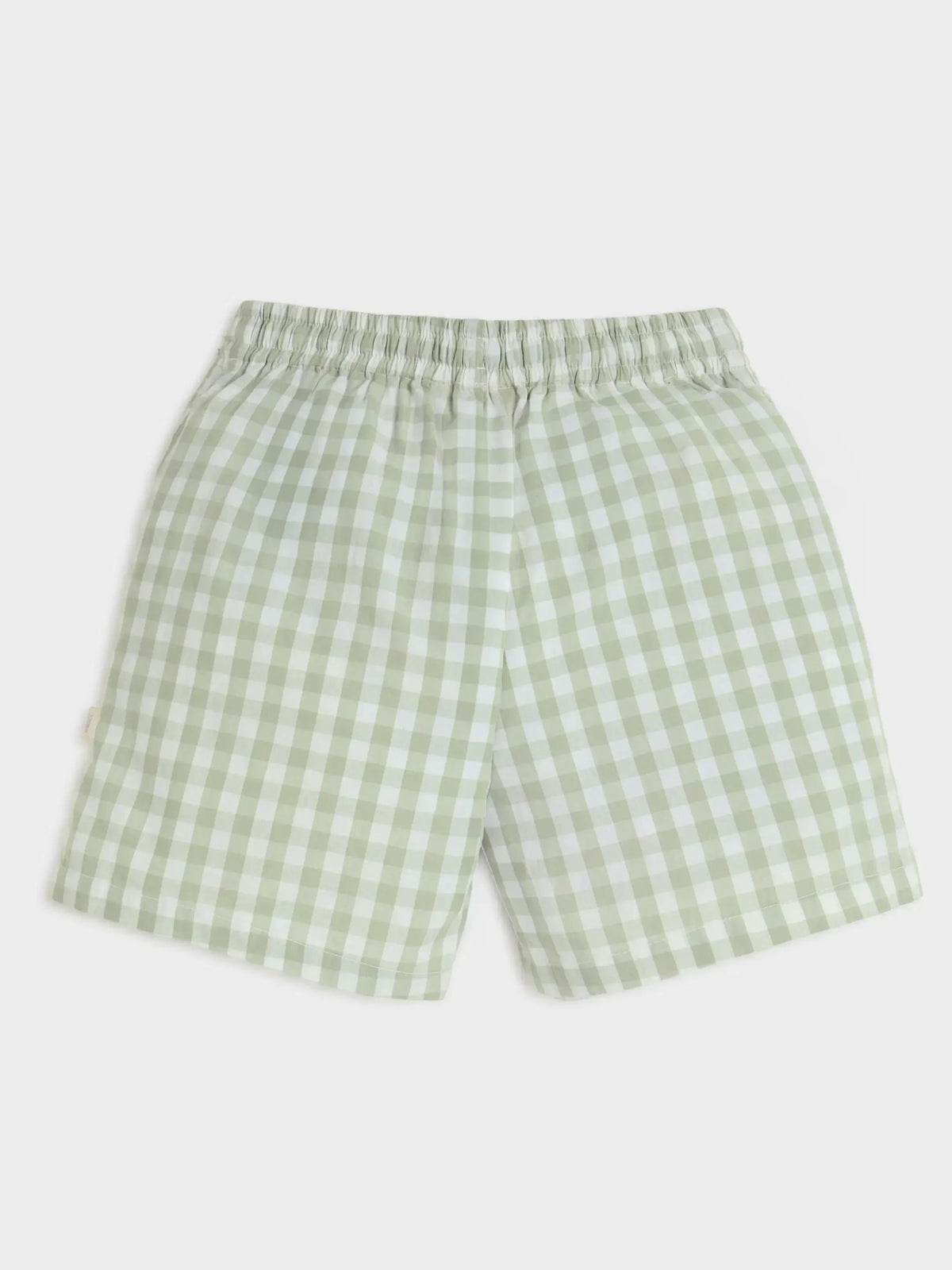 Checkered Green Shorts