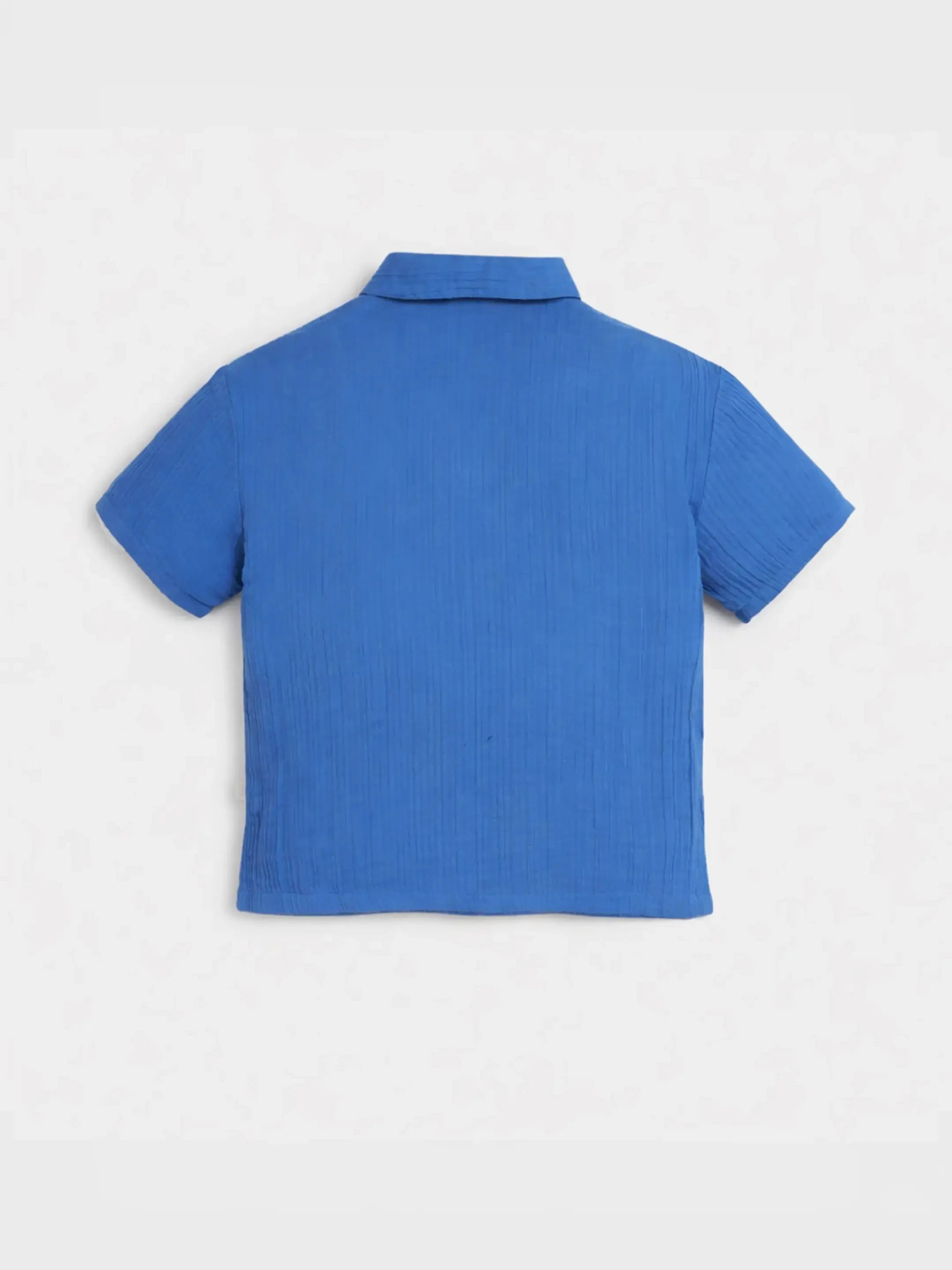 Classic Blue Textured Polo Shirt