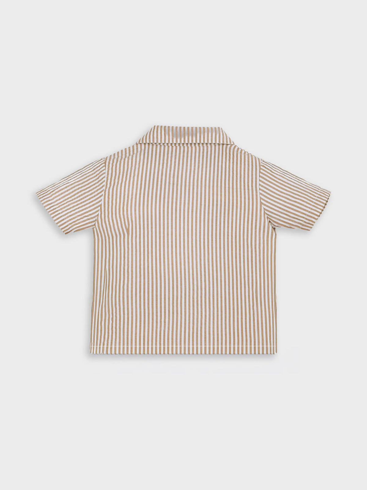 Beige Stripe Shirt with Palm Embroidery
