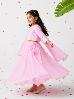 Lurex Embroidered Shantoon Lehenga Set
