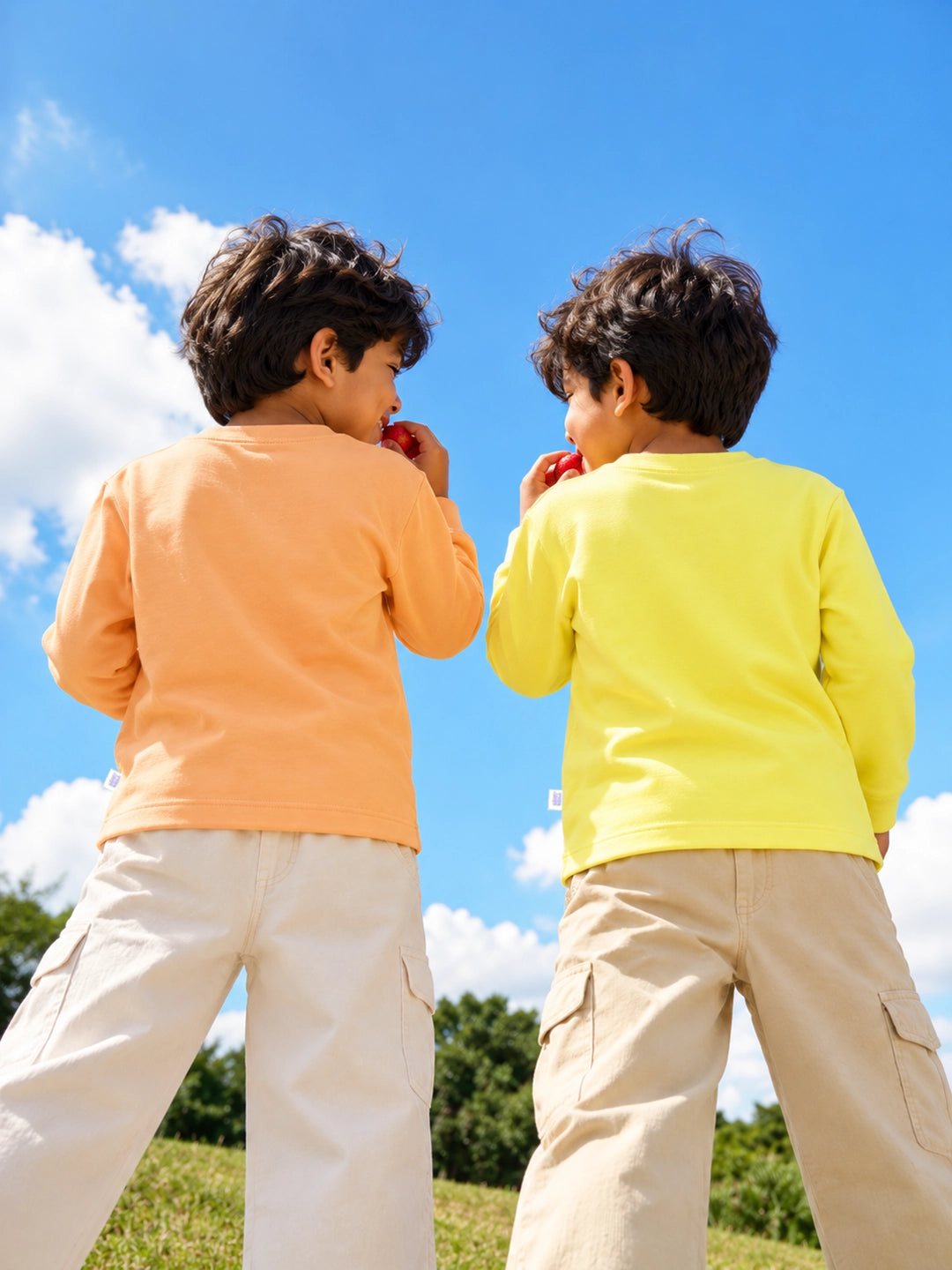 Pack of 2 Full Sleeves Boy's T-Shirts