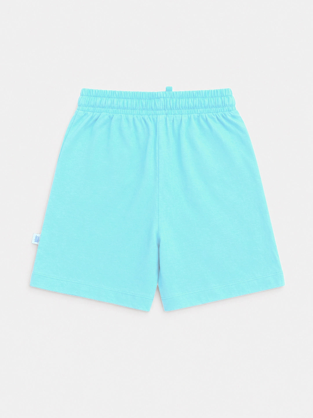 Aqua Blue Shorts