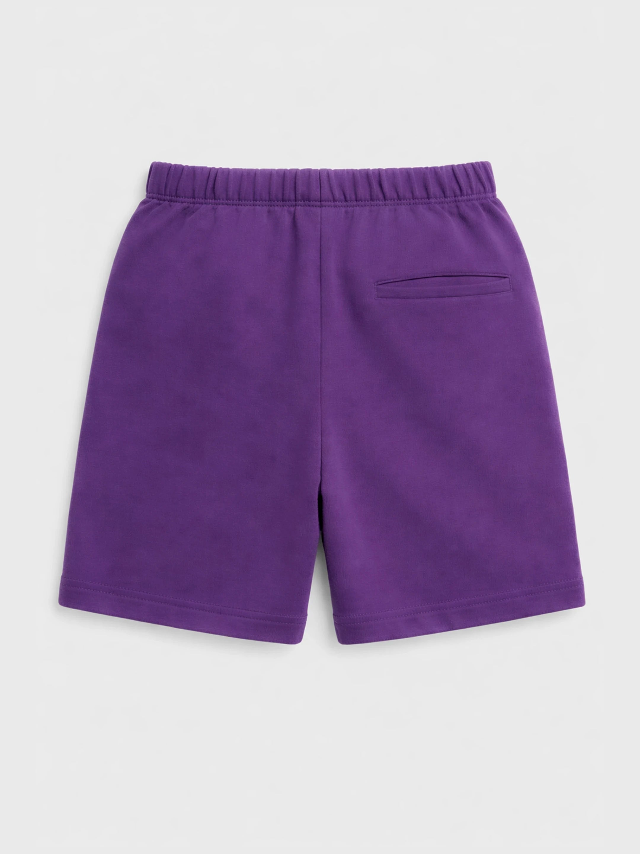 Lavender Frill Tie-Up Top & Purple Shorts Co-ord Set