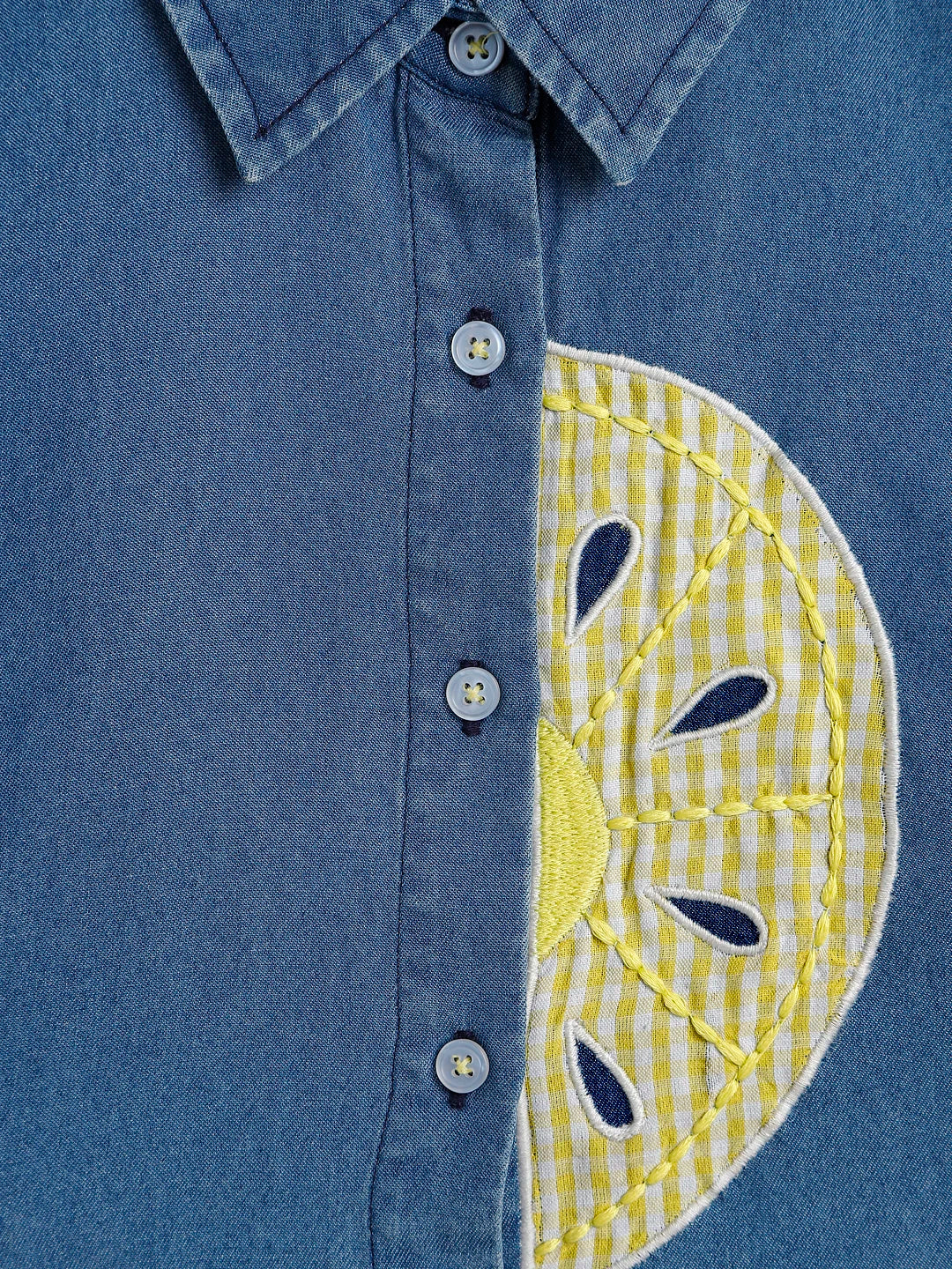 Denim Sleeveless Tie-Up Top with Lemon Applique