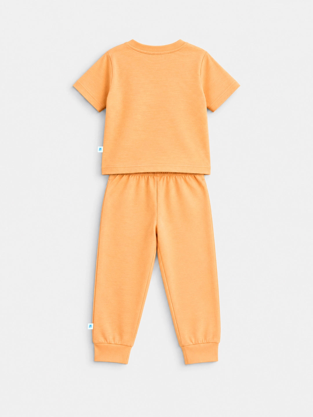 Tangy Orange T-Shirt & Jogger Set