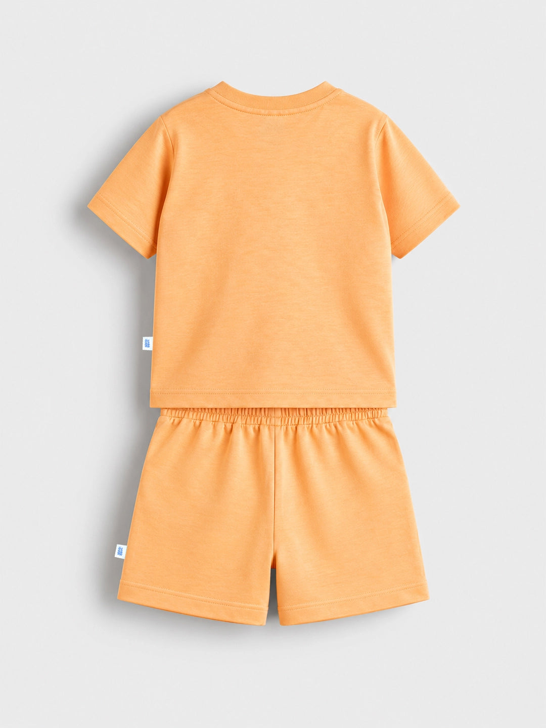 Tangy Orange T-Shirt & Shorts Set