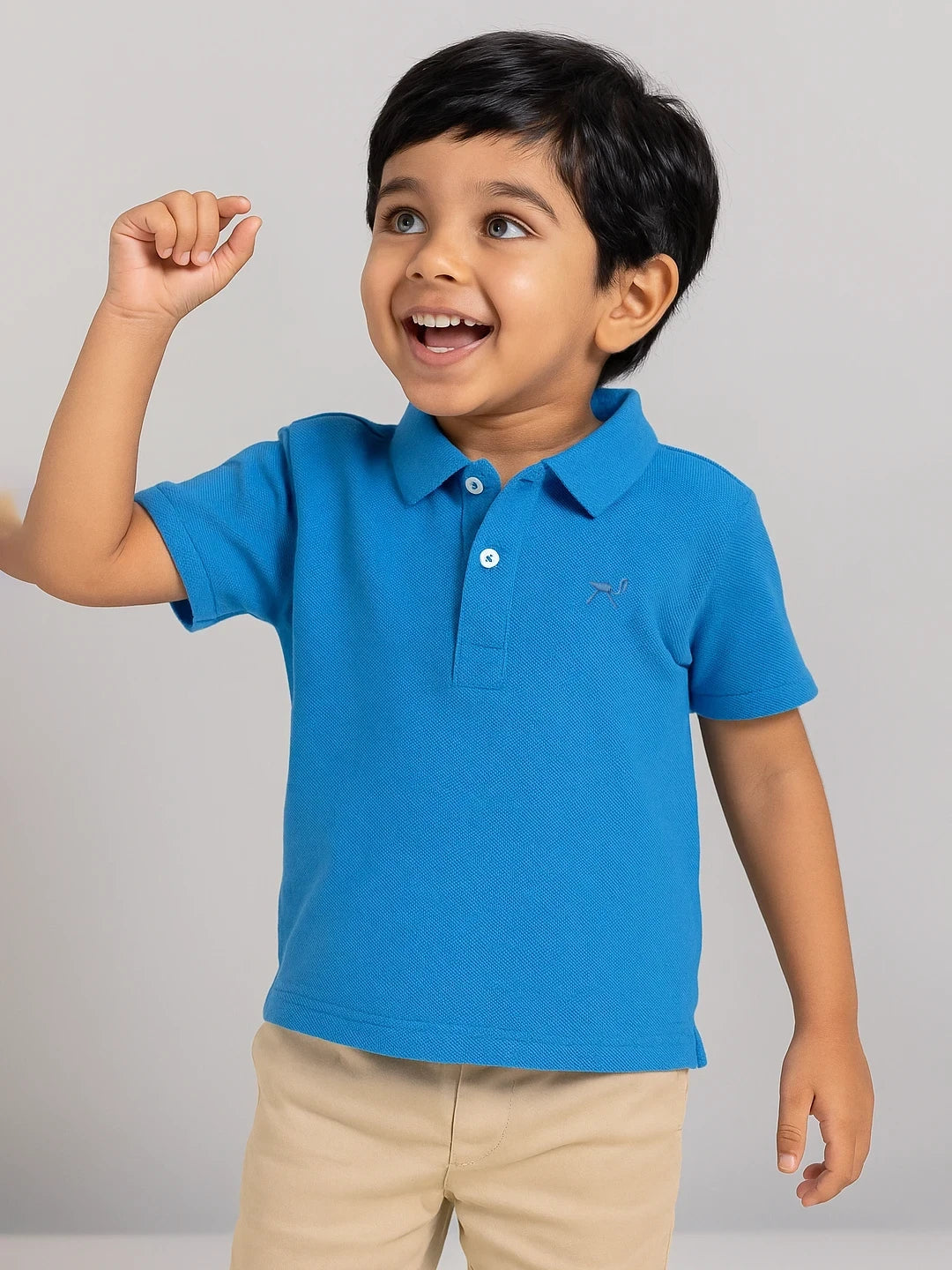 Blueberry Ice Cream Polo