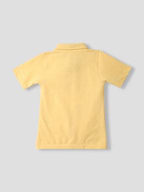 Mango Ice Cream Polo Somersault