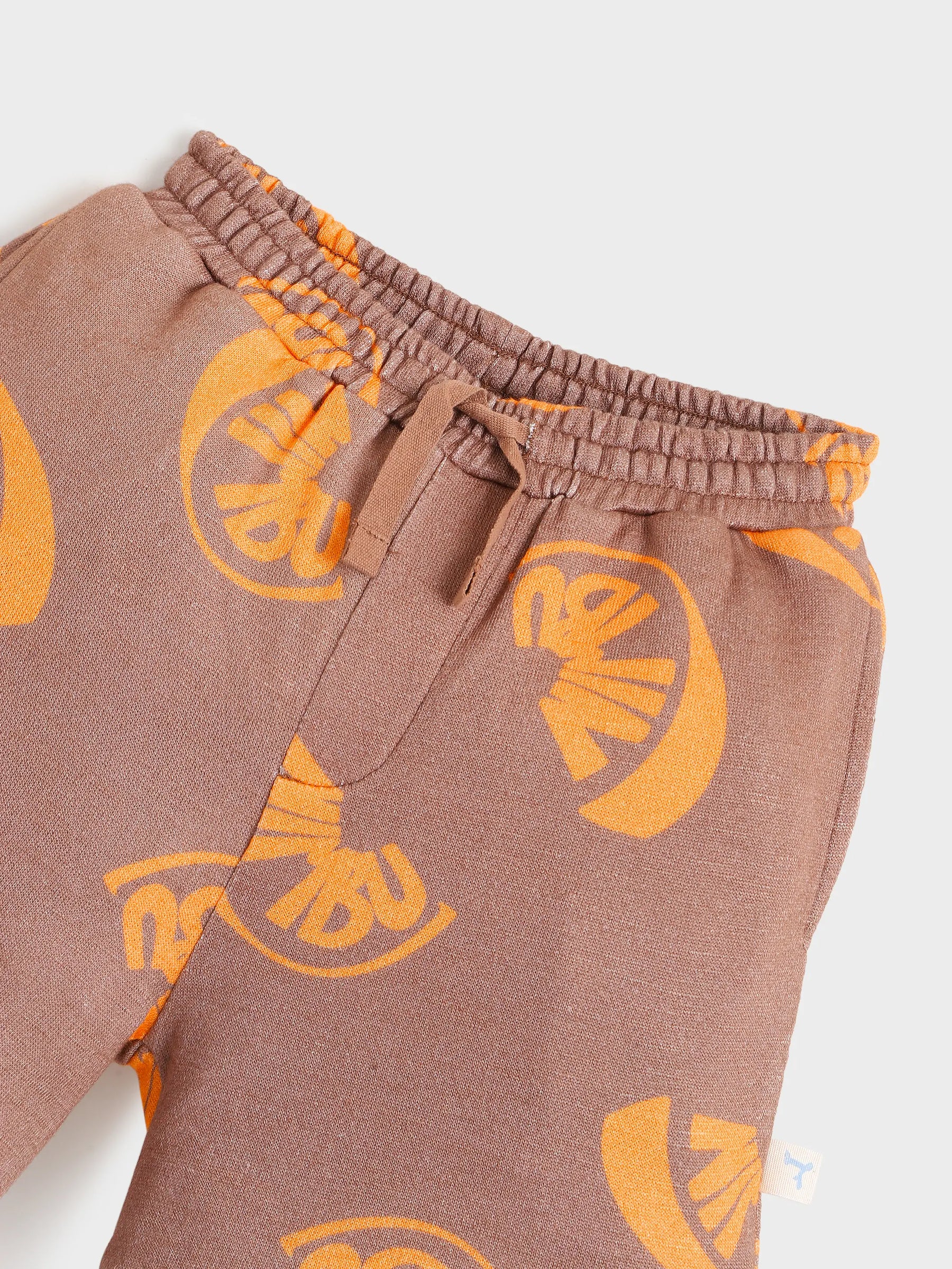 Boys Brown Citrus Print Knit Shorts