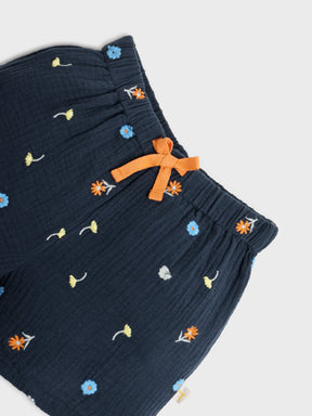 Blue Embroidered Top and Shorts Set